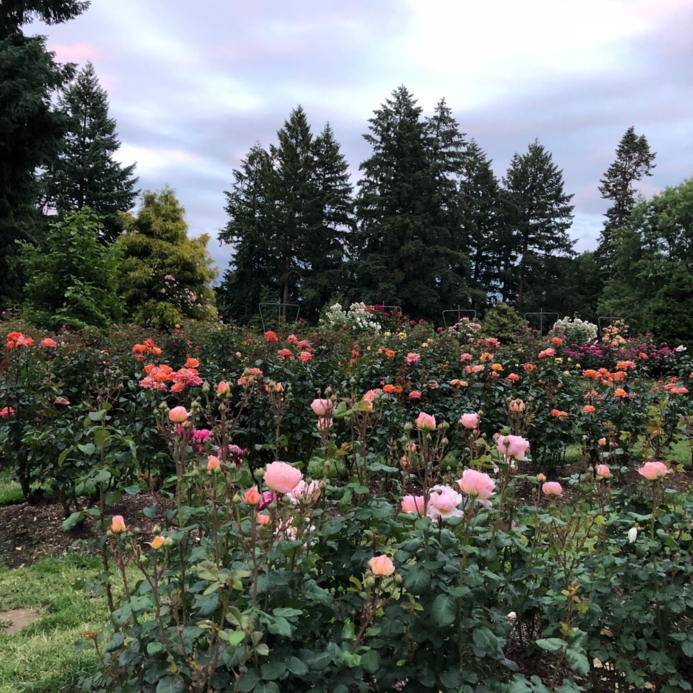 Meet your Posher, Nena